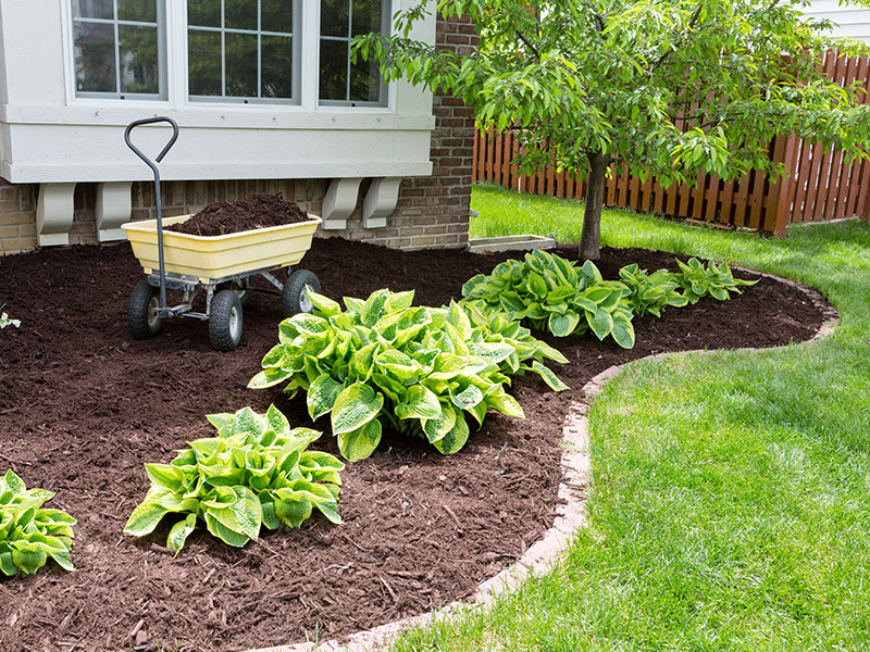 Entretien de jardin Phalempin