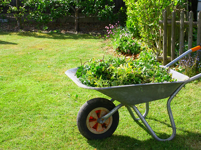 Entretien de jardin Wahagnies